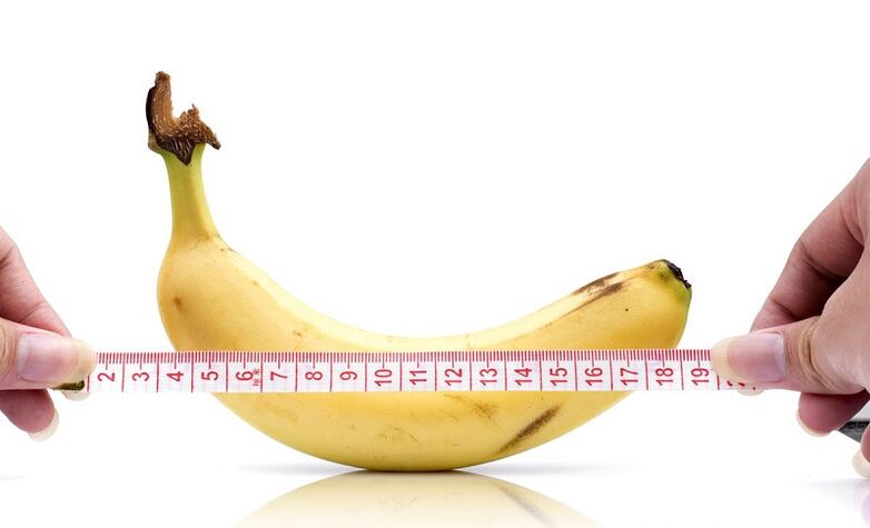 Pengaruh pantang pada panjang penis